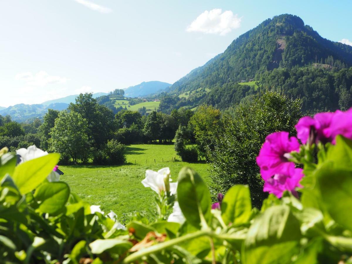 Rohrmoser Appartements Sankt Johann im Pongau Esterno foto